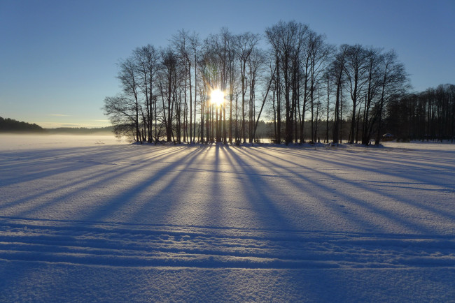 Обои картинки фото природа, зима, снег, закат, лес