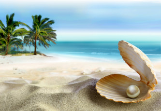 обоя разное, ракушки,  кораллы,  декоративные и spa-камни, океан, пляж, тропики, солнце, море, песок, perl, sand, summer, ракушка, blue, beach, sea, coast, paradise, tropical, seashell, palm, ocean, emerald, жемчужина