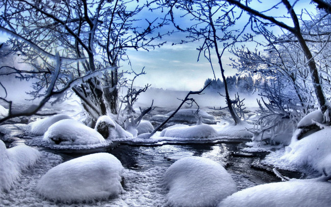Обои картинки фото природа, зима, сказка, деревья, снег