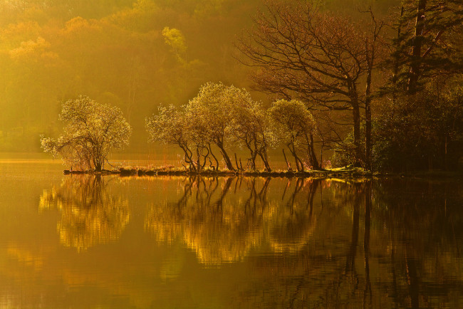 Обои картинки фото природа, реки, озера, осень, остров, деревья, озеро, лес, закат, отражение