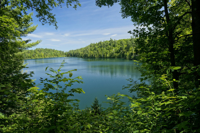 Обои картинки фото природа, реки, озера, ветки, лес, gatienau, park, деревья, парк, озеро, pink, lake, канада, зелень, листья