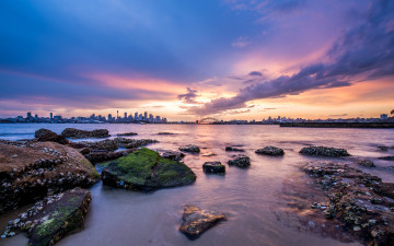 Картинка города -+панорамы sydney побережье рассвет город australia bradley's head