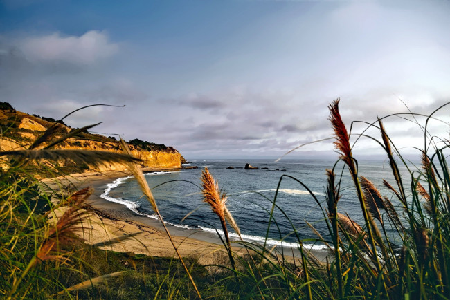 Обои картинки фото природа, побережье, трава, море, скалы