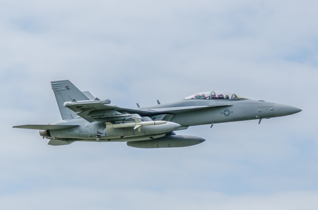 Обои картинки фото ea-18g growler, авиация, боевые самолёты, ввс