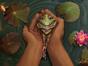 Картинка рисованные животные лягушки