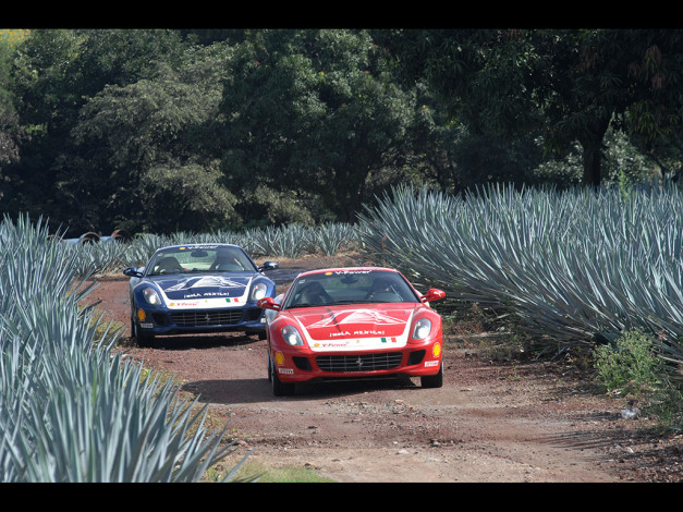 Обои картинки фото 2006, ferrari, 599, автомобили