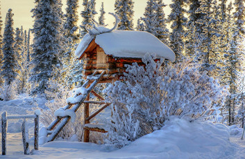 Картинка природа зима лесница лес снег деревья домик