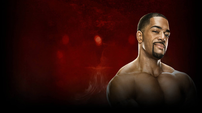 Обои картинки фото спорт, wwe, david, otunga