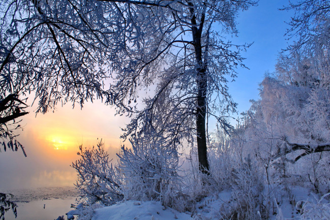 Обои картинки фото природа, зима, деревья, снег, восход