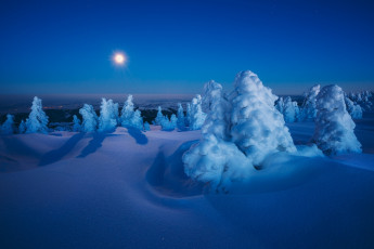 Картинка природа зима снег луна сугробы ели szabo zsolt andras ночь