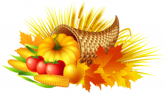 Обои картинки фото векторная графика, еда , food, овощи, тыквы, листья