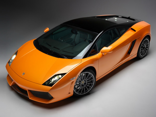 Обои картинки фото автомобили, lamborghini, gallardo, bicolore