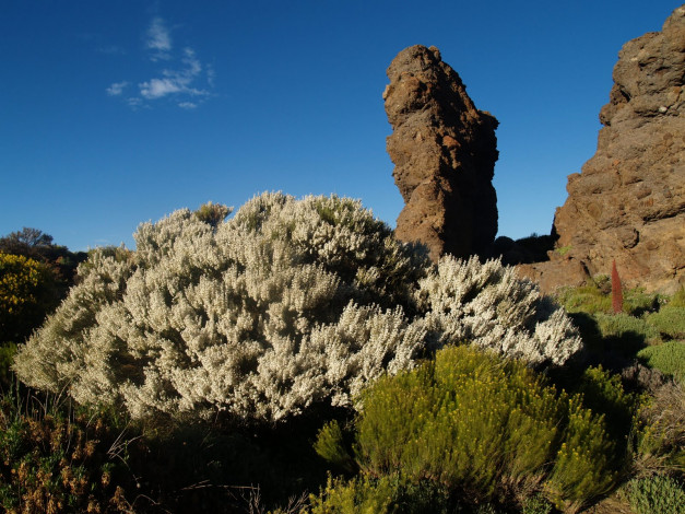 Обои картинки фото las, canadas, del, teide, природа, горы, тенерифе