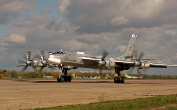 Картинка авиация боевые самолёты медведь