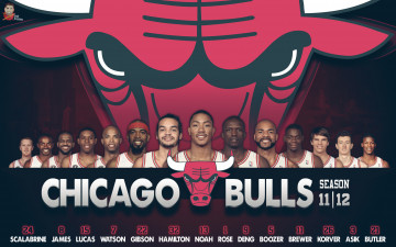 Картинка chicago bulls 2011 2013 спорт nba daffon arzumanov rose