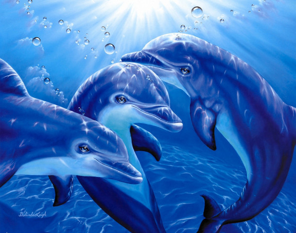 Обои картинки фото рисованные, belinda, leigh, игривые, дельфины