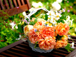 Картинка цветы букеты +композиции корзинка розы