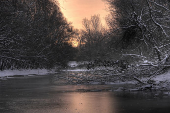 Картинка природа реки озера сумерки закат река деревья ветки