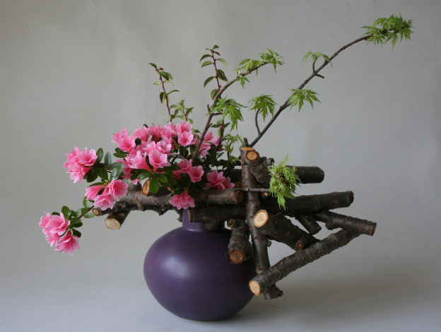 Обои картинки фото цветы, рододендроны , азалии, азалия, ваза, розовый
