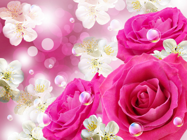 Обои картинки фото цветы, розы, розовые