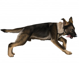 Картинка рисованное животные +собаки взгляд друг собака