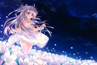 Картинка аниме carnelian ночь цветы девушка арт