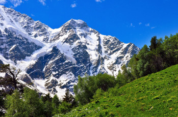 Картинка домбай природа горы кавказ