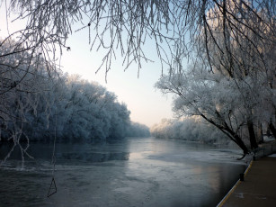 Картинка природа реки озера иней деревья