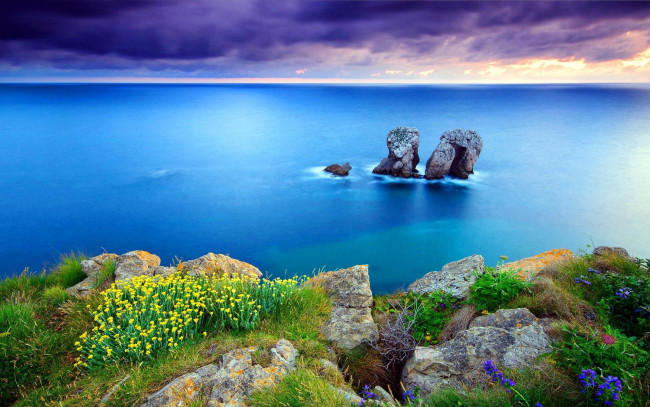Обои картинки фото природа, побережье, берег, трава, обрыв, камни, море, небо, тучи