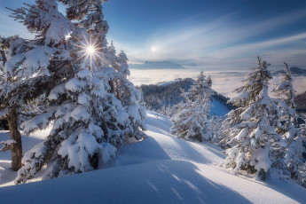 Картинка природа зима облака лучи солнце сугробы снег ели леса деревья холмы горы пейзаж