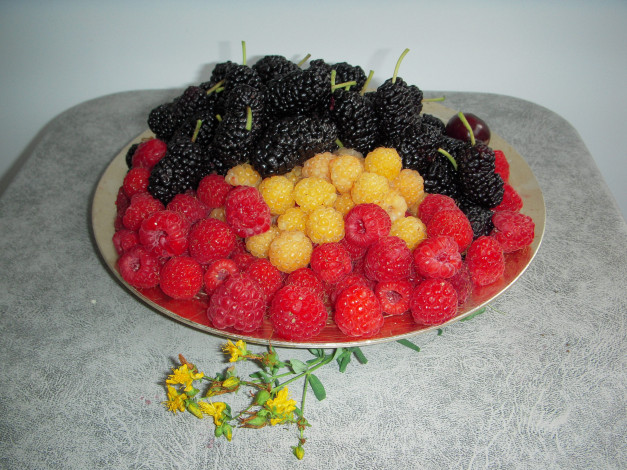 Обои картинки фото еда, фрукты,  ягоды, ежевика, малина