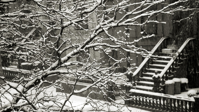 Обои картинки фото города, - здания,  дома, зима, снег, деревья, дома