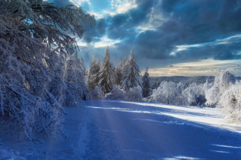 Картинка природа зима эльзас