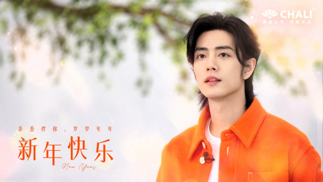Обои картинки фото мужчины, xiao zhan, актер, лицо, пиджак, ветка