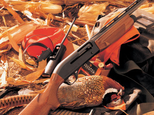 Картинка benelli m1 field оружие винтовкиружьямушкетывинчестеры