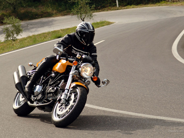 Обои картинки фото ducati, sport, 1000, мотоциклы