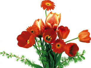 Картинка цветы букеты композиции зелень герберы тюльпаны