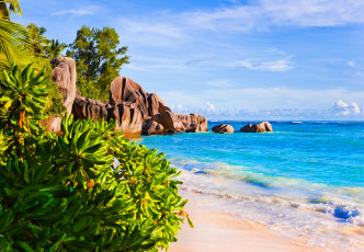 Картинка природа тропики пальмы пляж океан море берег