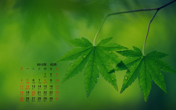 обоя календари, природа, листья