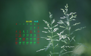 обоя календари, природа, зеленый