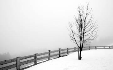 Картинка природа зима дерево забор
