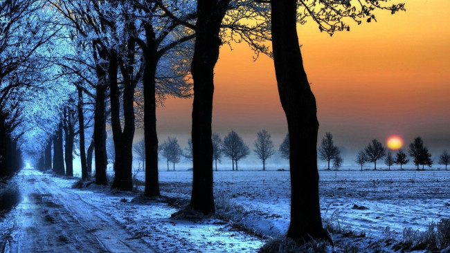 Обои картинки фото природа, зима, деревья, снег, солнце, дорога, поле