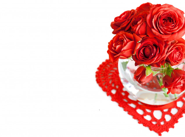 Обои картинки фото цветы, розы, красные, ваза