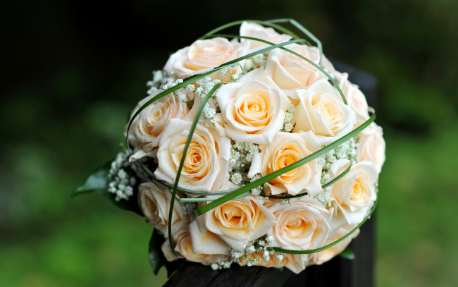 Обои картинки фото цветы, розы, желтые, букет, свадебный, бутоны