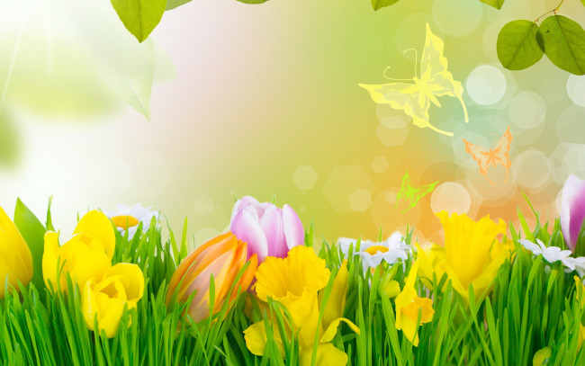 Обои картинки фото разное, компьютерный дизайн, весна, тюльпаны, трава, цветы