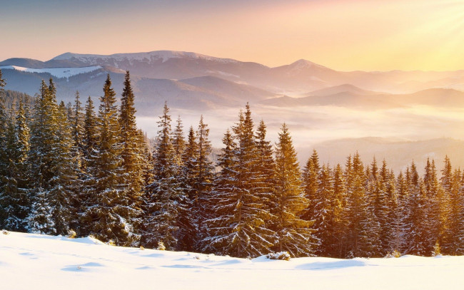 Обои картинки фото природа, горы, лес, снег