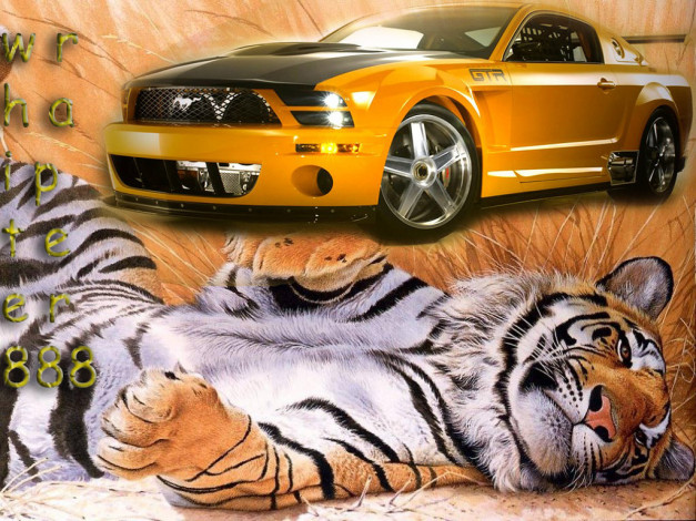 Обои картинки фото ford, mustang, gtr, автомобили