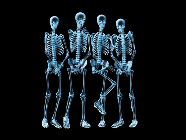 Обои картинки фото разное, кости, рентген, скелеты, ренген