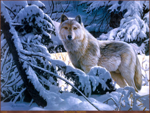 обоя jerry, gadamus, silent, white, рисованные, лес, снег, зима, арт, волк