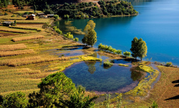 Картинка природа реки озера берег пейзаж вода
